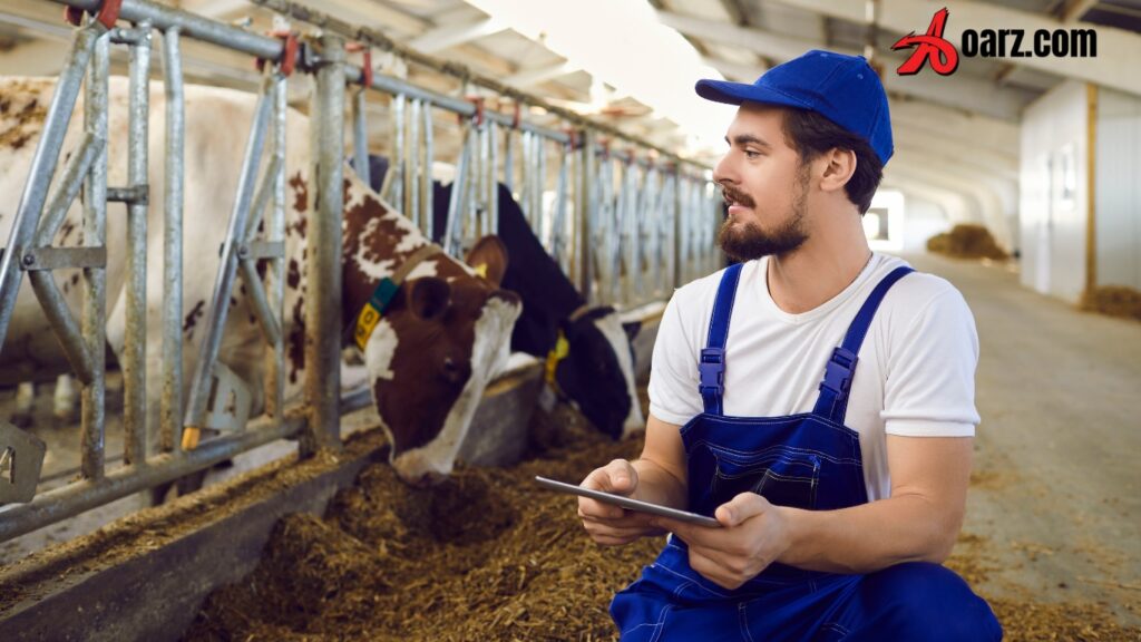 Dairy Farm Worker Jobs in Canada