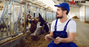 Dairy Farm Worker Jobs in Canada