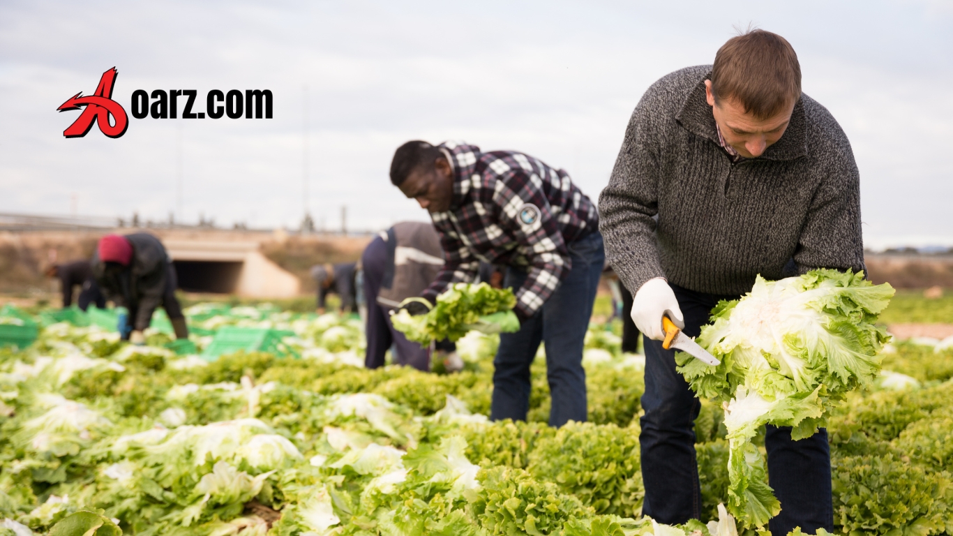 Farm Worker Jobs in Australia